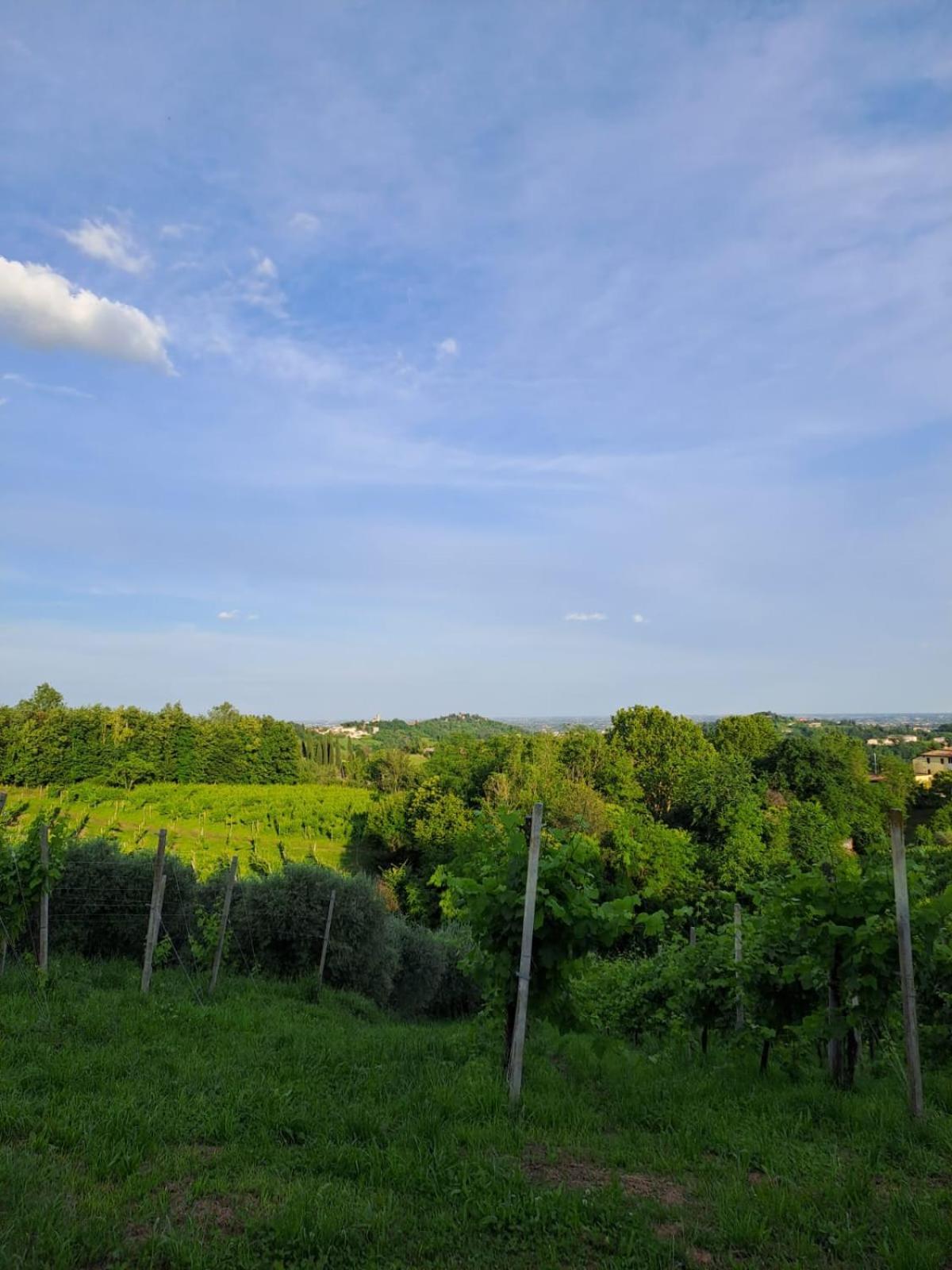 Casa Di Tuco Bed and Breakfast Conegliano Buitenkant foto