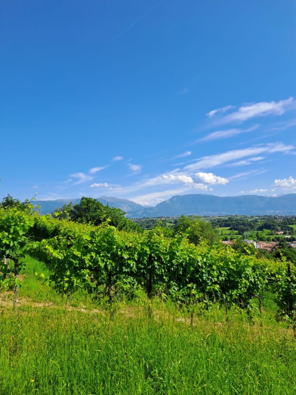 Casa Di Tuco Bed and Breakfast Conegliano Buitenkant foto